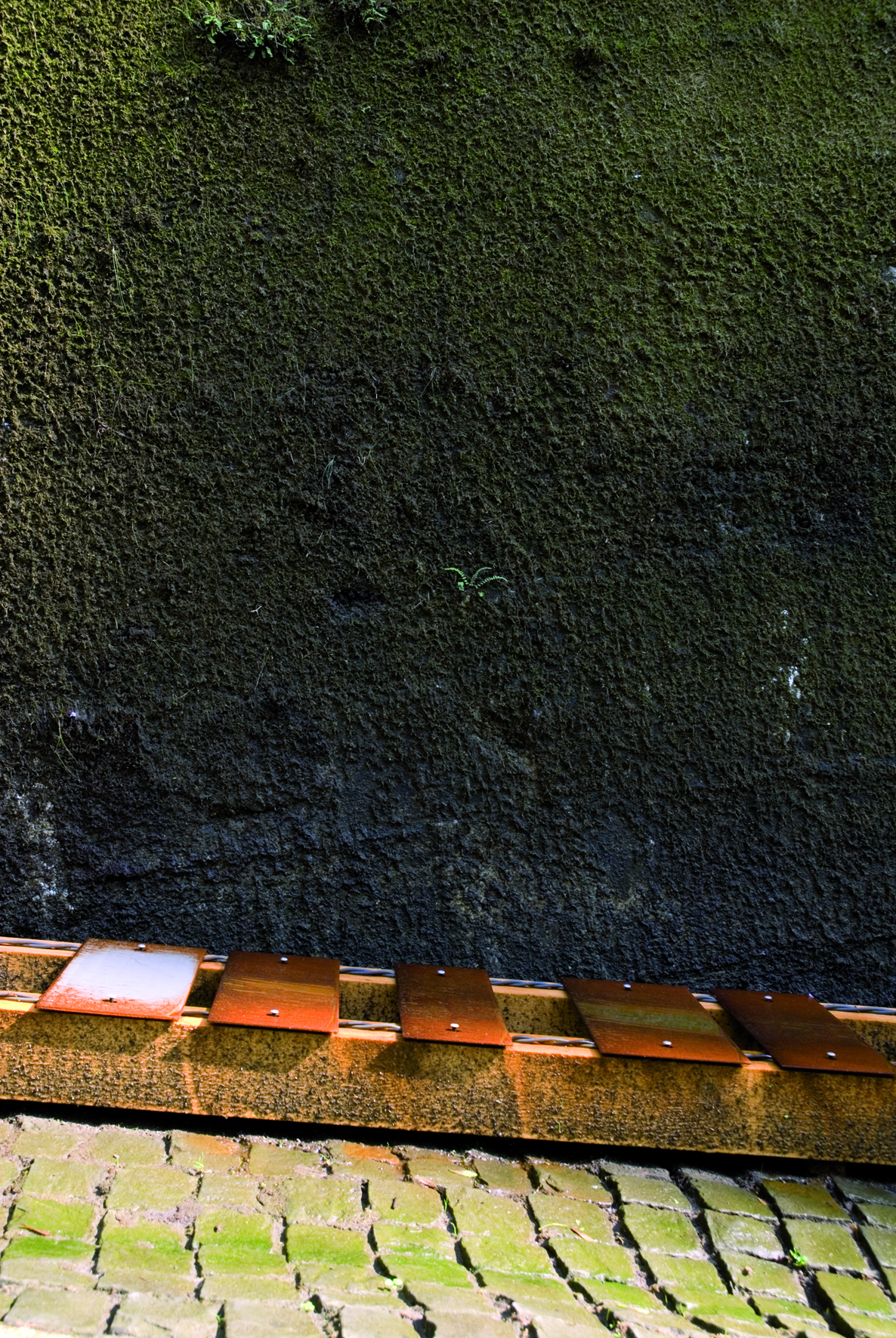 3.3 Secrets de gouttes ©L.Baud